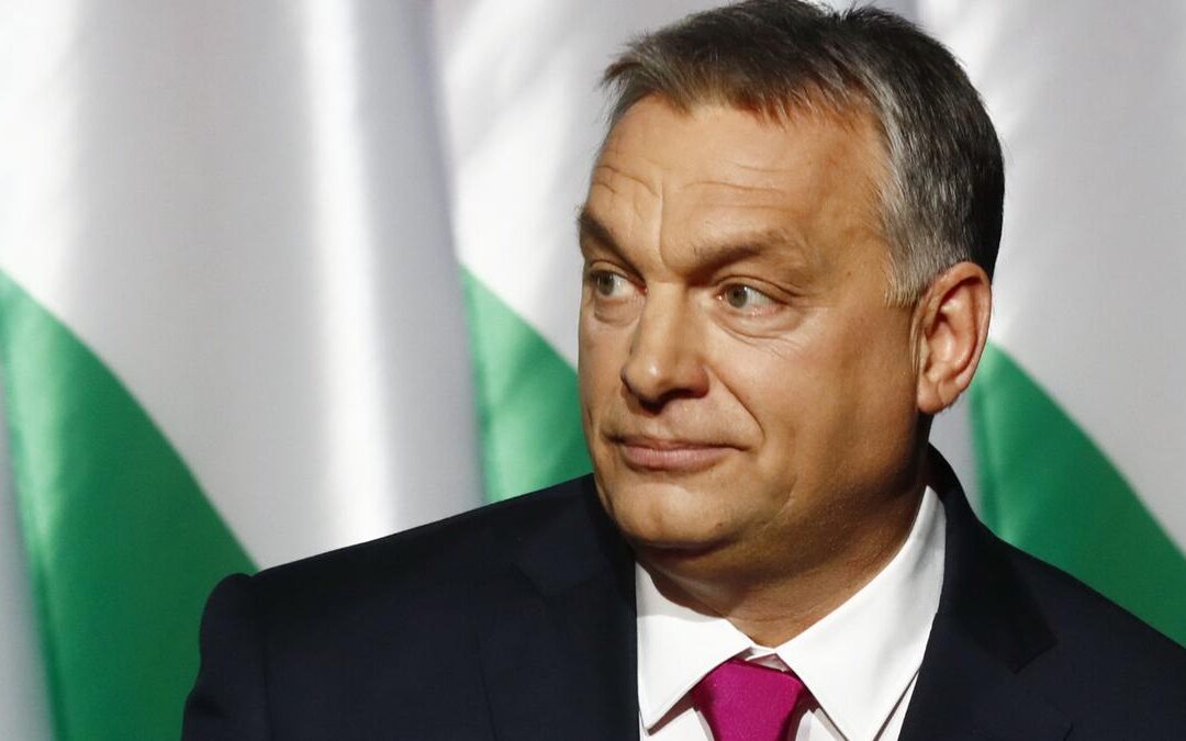 2022. FEBRUÁR 12.- VILÁGSZABADALOM AZ ÚJ MAGYAR GOMBASZAKÉRTŐI POLITIKAI STRATÉGIA