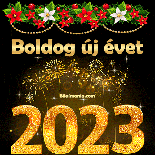 2022. DECEMBER 31.- A VÍRUSNAPLÓ IDEI, UTOLSÓ BEJEGYZÉSE